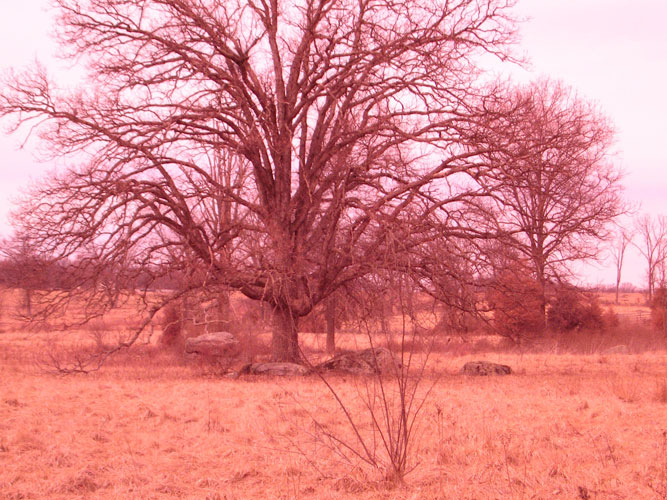 Investigation Gettysburg First 3
